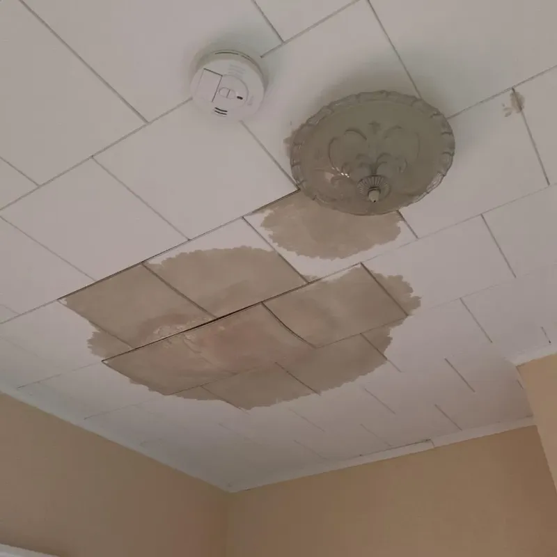 Ceiling Water Damage Repair in Esko, MN